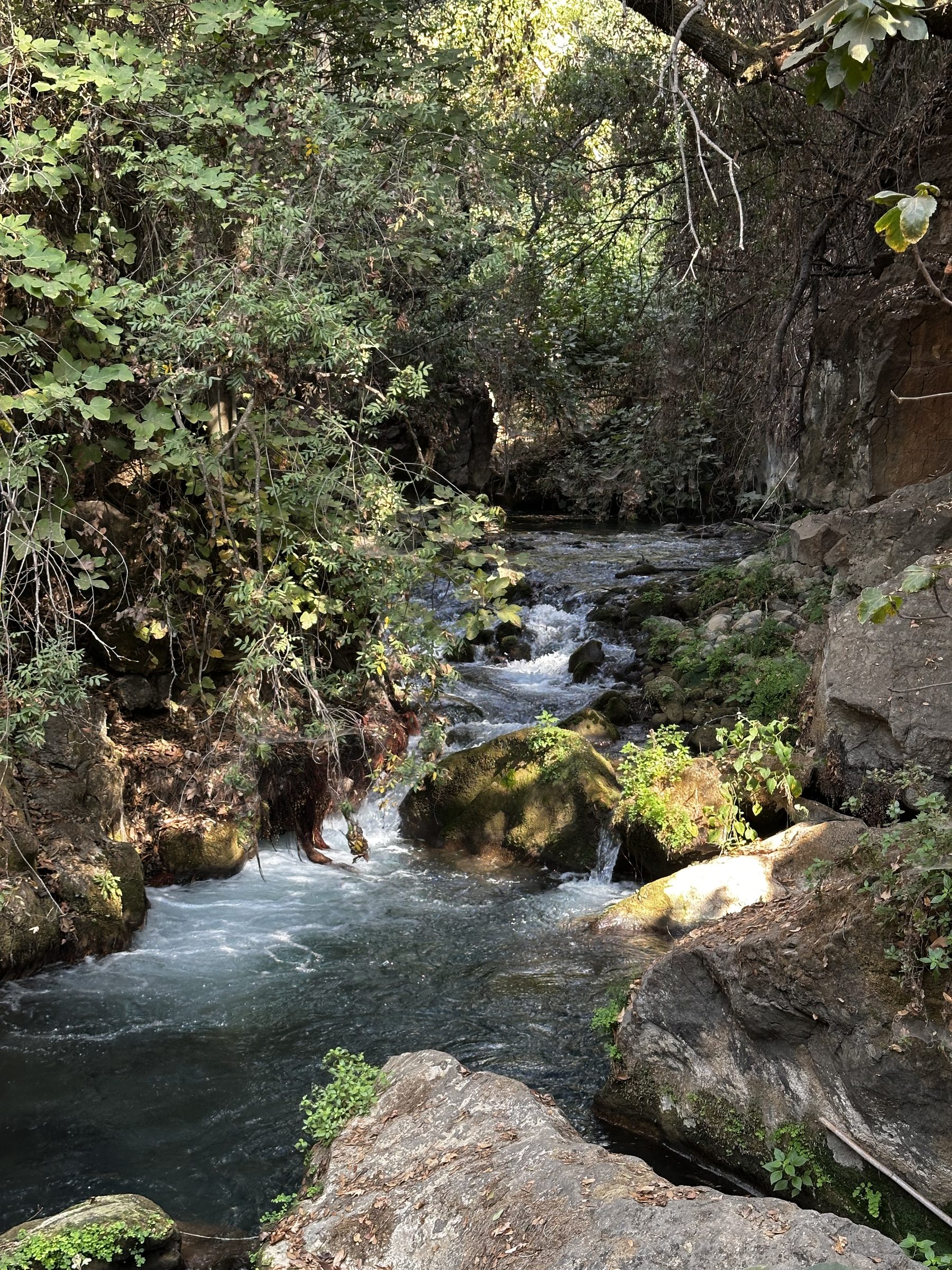 Jordanquelle bei Banias