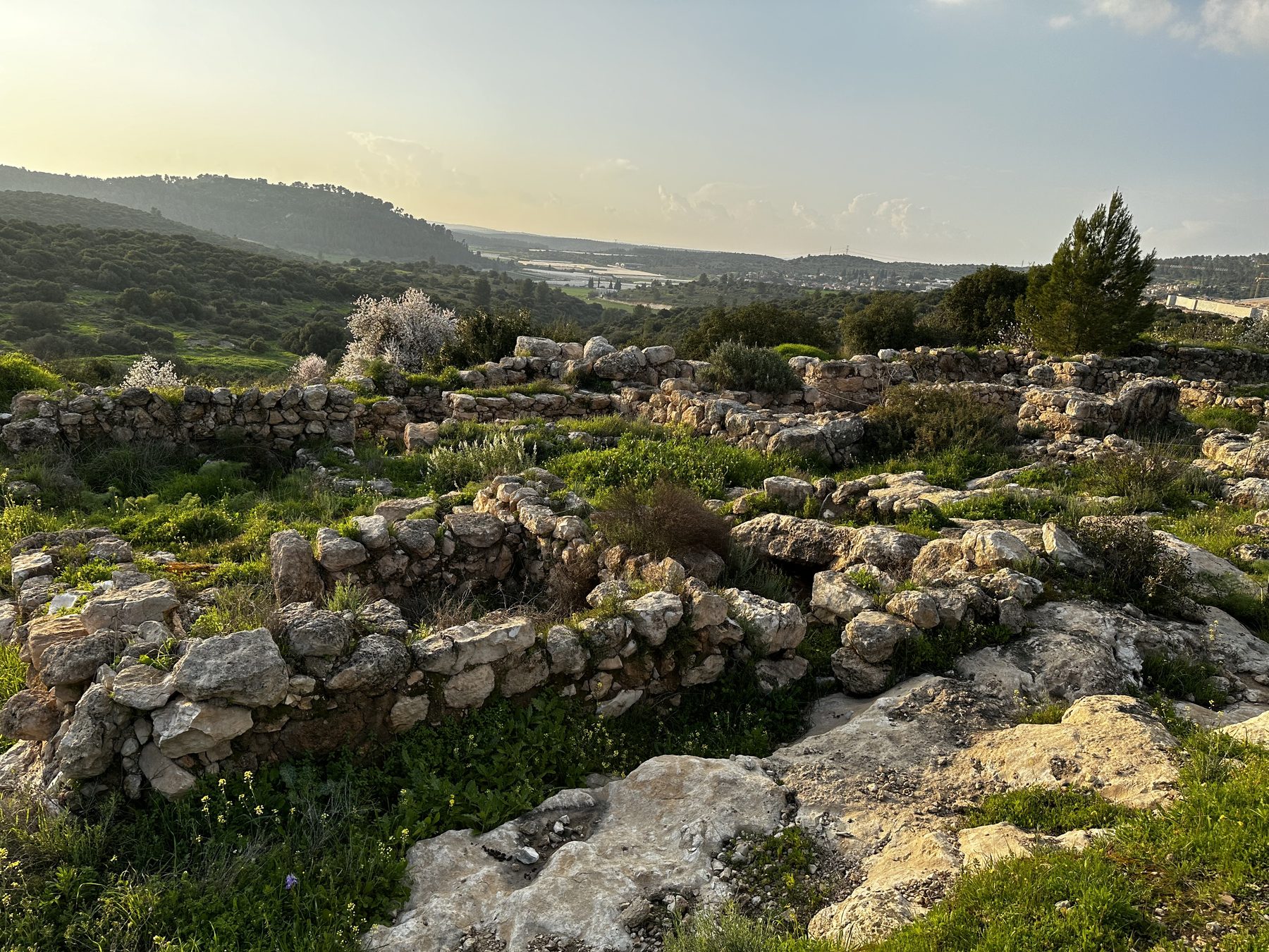 Khirbet Qeiyafa im Elah-Tal