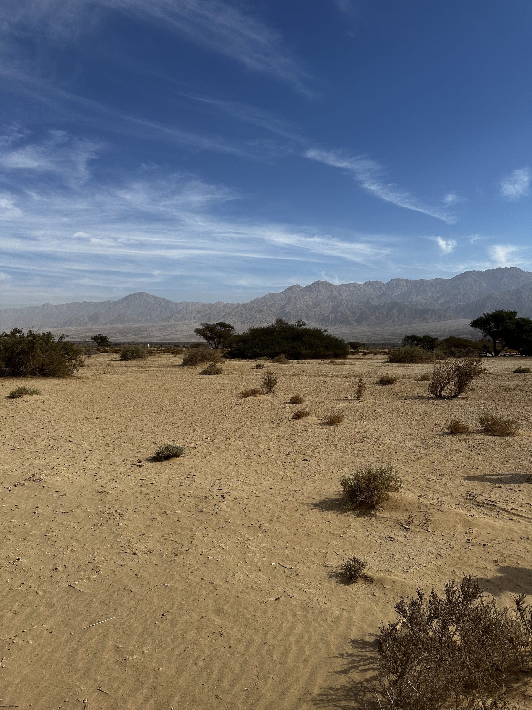 Negev-Wüste